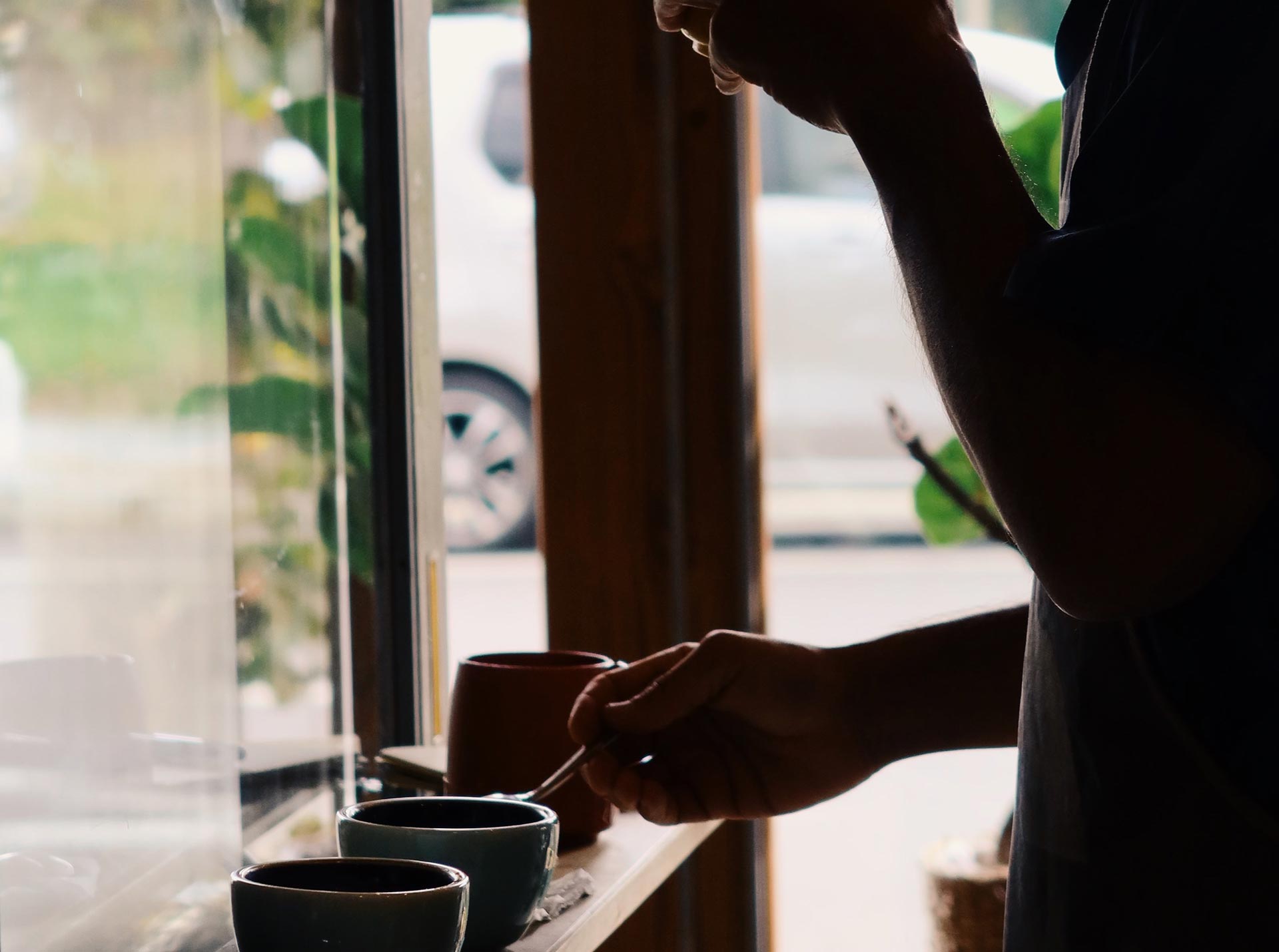 BOLIVIA Geisha Peaberry ゲイシャ　スプラウト ニセコ