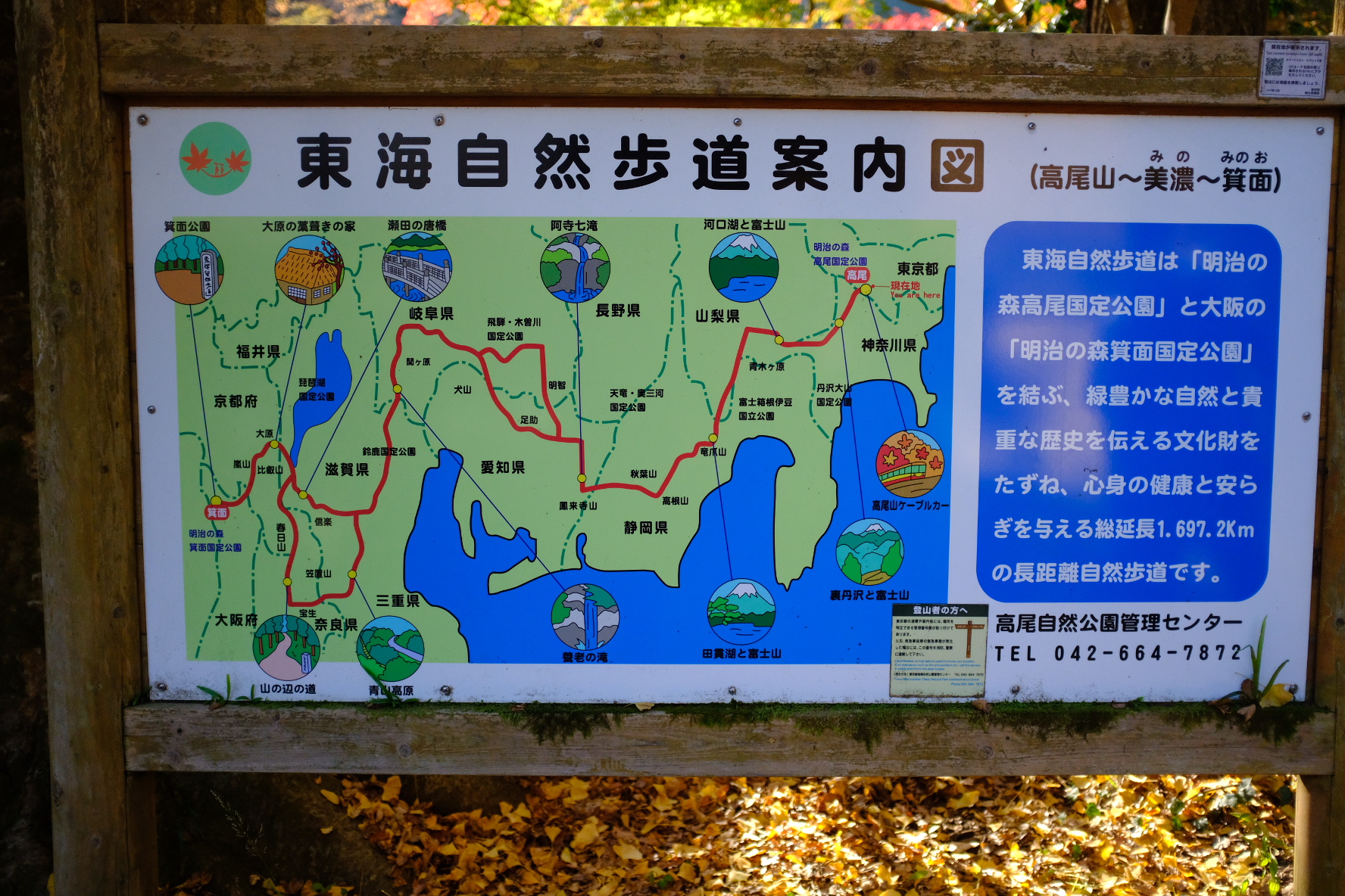 道南の自然を歩く 東海自然歩道 TTT - スプラウト ニセコ | SPROUT NISEKO